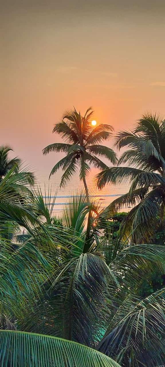 Kumbaya Beachside Hostel & Apartments At Arambol Beach Exterior photo
